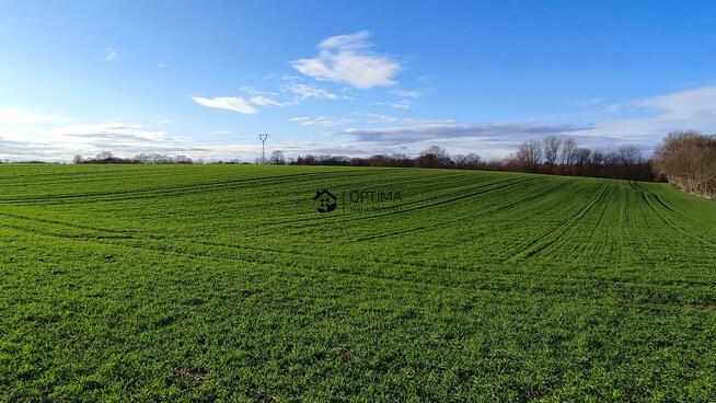 Działka Gościno, Bociania