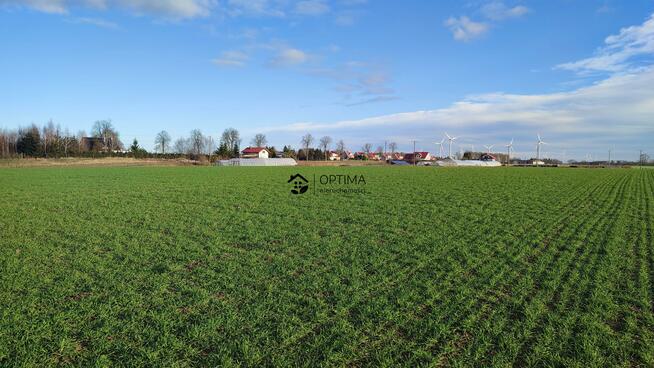 Działka Gościno, Bociania