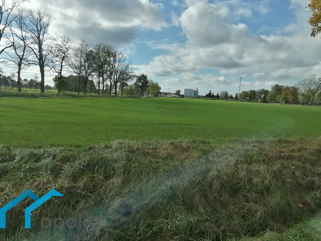 Działka Bąków gm. Strumień