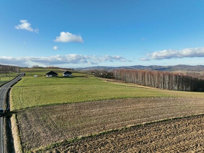 1.5 hektarowa działka w Ołpinach gm. Szerzyny