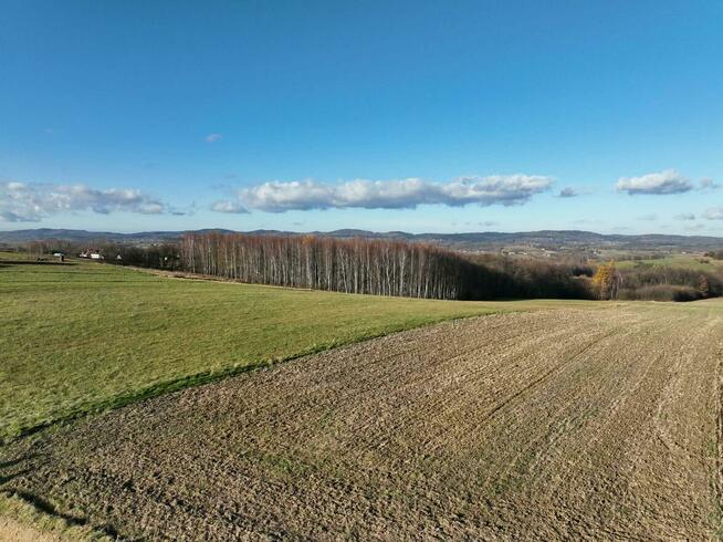 1.5 hektarowa działka w Ołpinach gm. Szerzyny