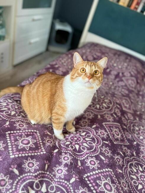 Tosia szuka swojego domu na zawsze!