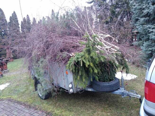 Wycinka drzew, Oczyszczanie działki, Przewóz towarów przyczep
