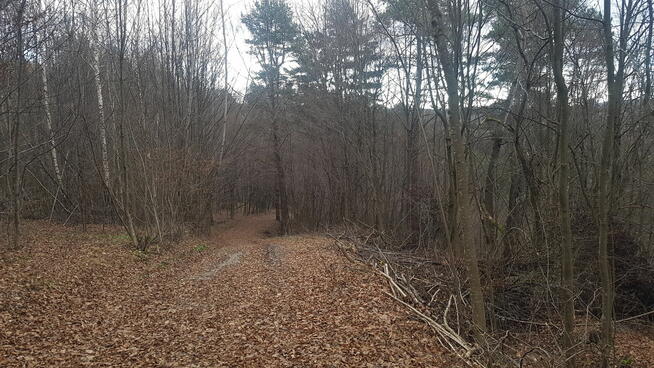 Uzbrojona działka widokowa na wzgórzu w Bieszczadach