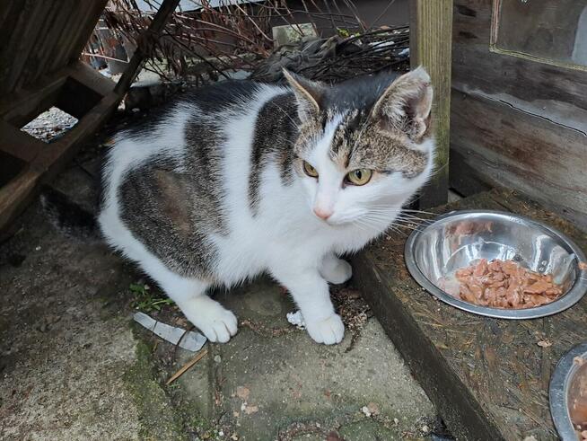 dom potrzebny przed zimą