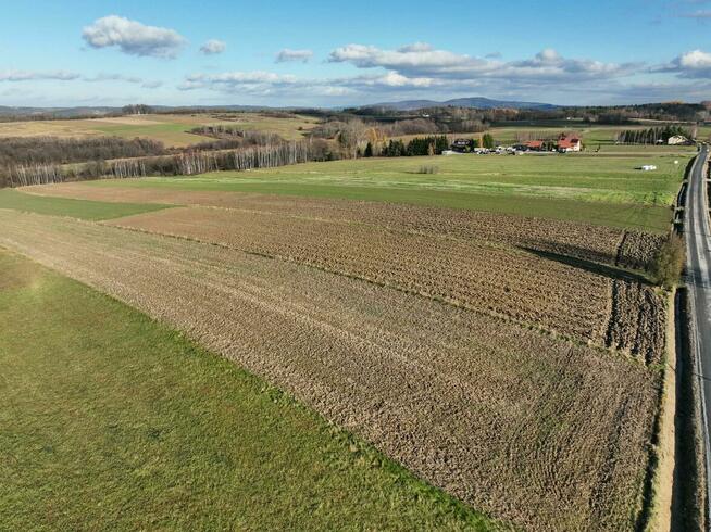 1.5 hektarowa działka w Ołpinach gm. Szerzyny