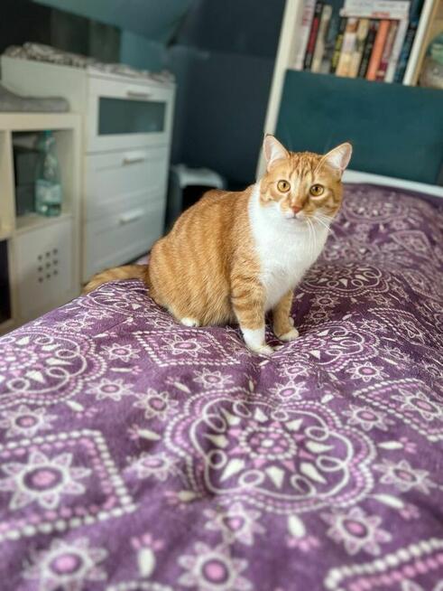 Tosia szuka swojego domu na zawsze!