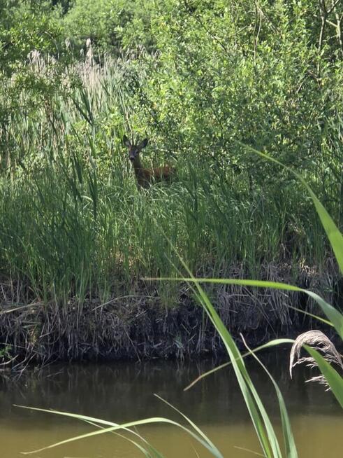 Działka 8400m2 ( obok media expert i parku handlowego)