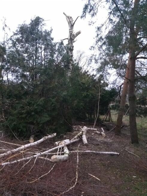 Wycinka drzew, Oczyszczanie działki, Przewóz towarów przyczep