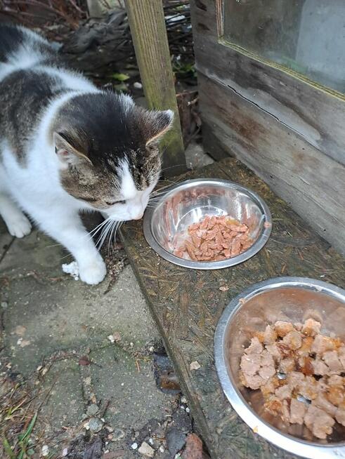 dom potrzebny przed zimą