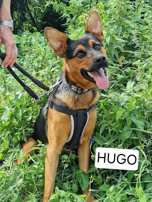 Hugo ma zaledwie 2 lata a juz zaznał bezdomności Małgorzata