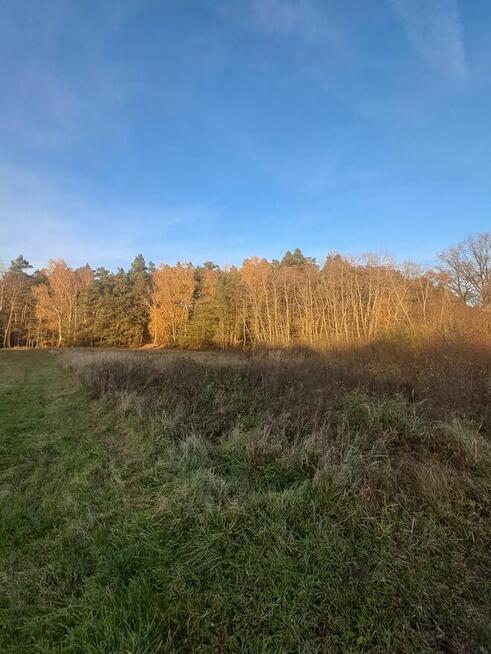 Działka budowlana z warunkami o pow. 1400m2, Dzierzbin