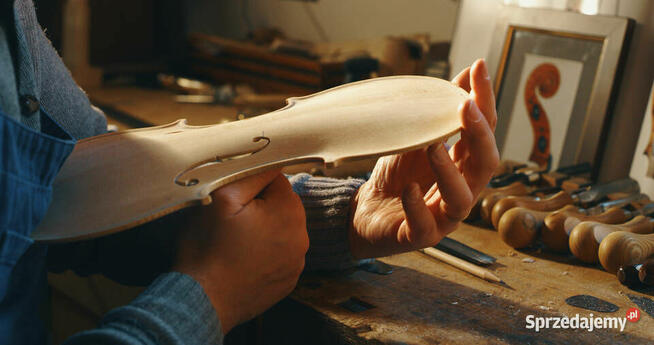 ## Lutnik - Pracownia Lutnicza Białystok i Podlaskie ##