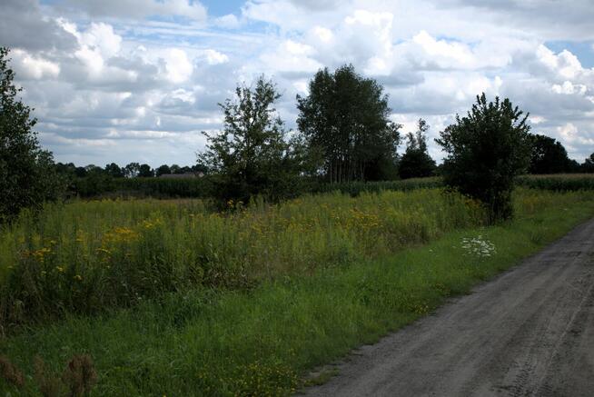 DZIAŁKI ROLNE Z MOŻLIOWOŚCIĄ ZABUDOWY