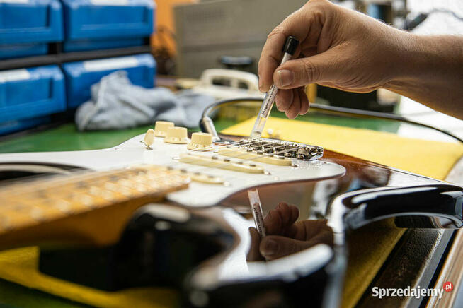 ## Lutnik - Pracownia Lutnicza Białystok i Podlaskie ##