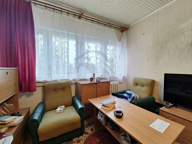 Kiedy ostatnio widok proponował Ci współpracę?