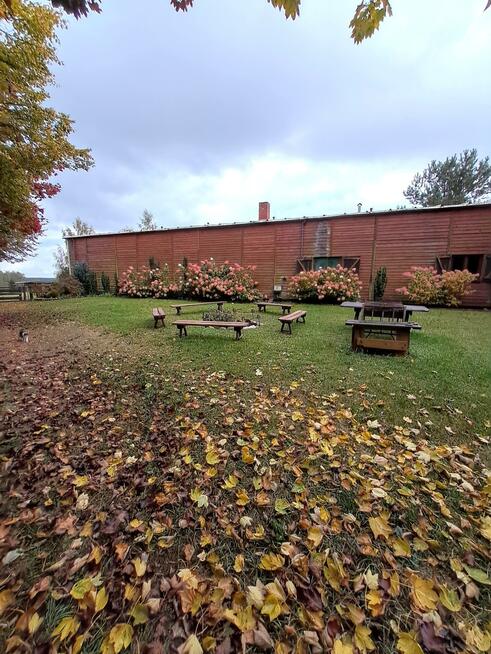 Dom Potrzanowo gm. Skoki