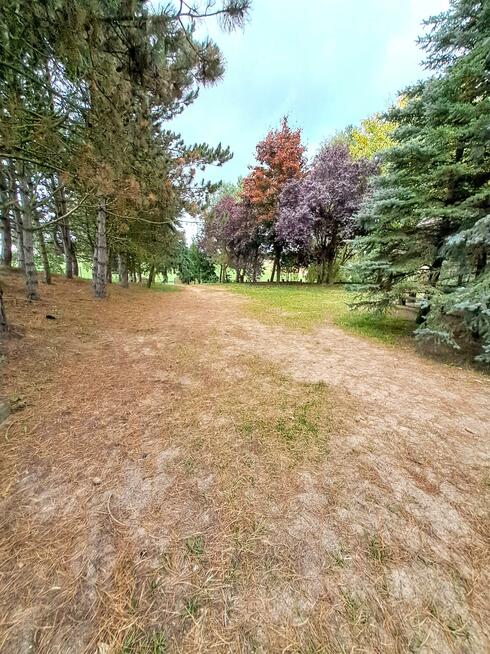 Dom Potrzanowo gm. Skoki