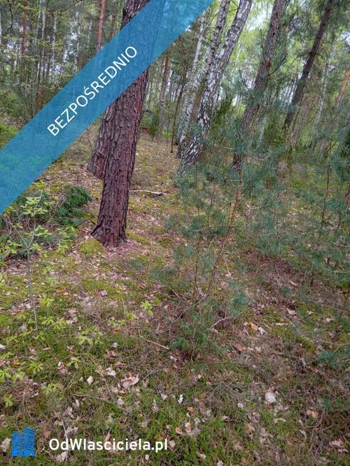 Ruda koło Radzymina, działka, BEZPOŚREDNIO