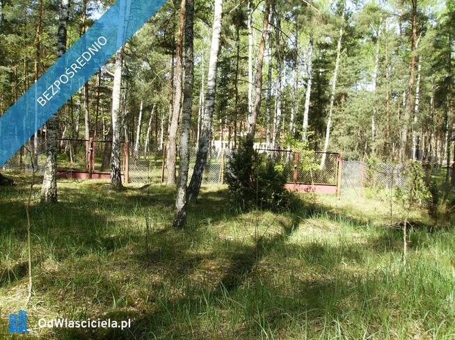 Ruda koło Radzymina, działka, BEZPOŚREDNIO