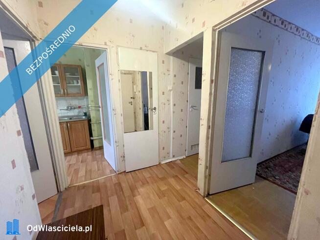 Wyczółkowskiego, trzy pokoje od zaraz