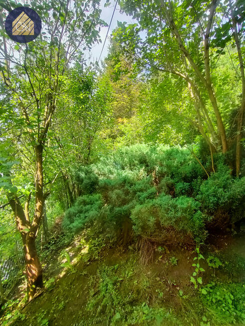 Dom Ząbkowice Śląskie,