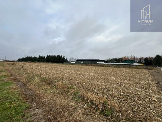 Działka rolna Łęg Tarnowski gm. Żabno