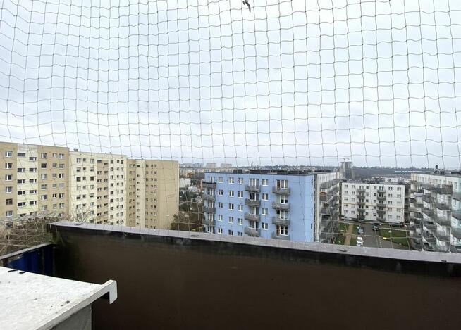 Mieszkanie Szczecin centrum, Potulicka