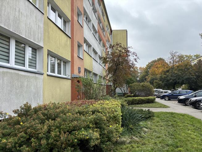 Mieszkanie Łódź gm. Łódź-Bałuty Bałuty, Żubardzka