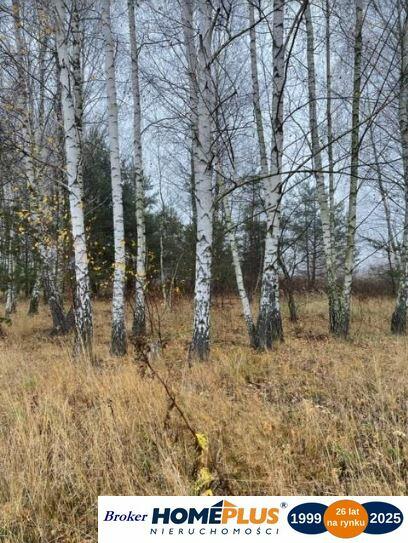 Działka z zabudową jednorodzinną, linia 110 kV