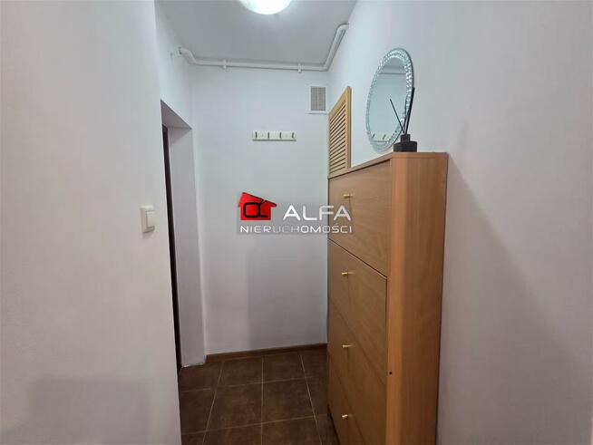 Mieszkanie Świdnica, okolice parku