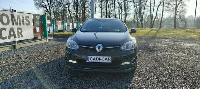 Renault Megane Krajowy, drugi właściciel.