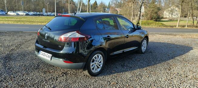 Renault Megane Krajowy, drugi właściciel.