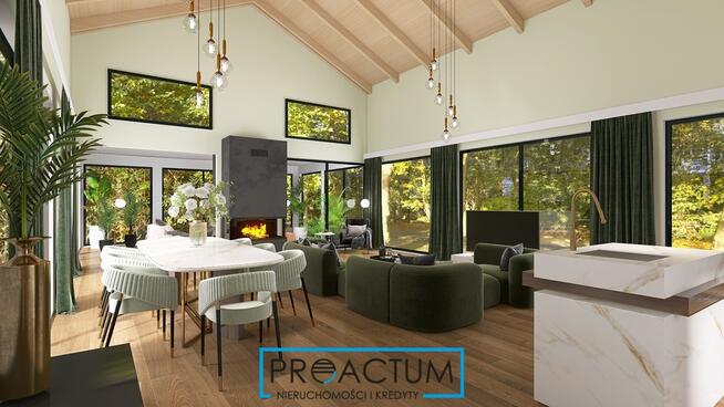 Dom z powierzchnią pod działalność - biura