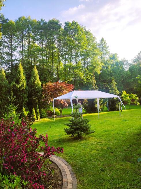 Dom w sercu pachnącego lasu.