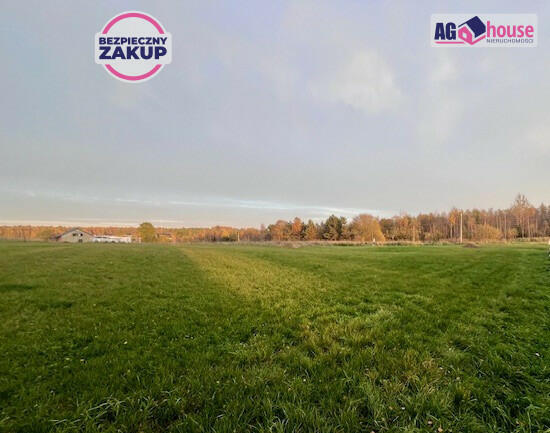 Działka inwestycyjna Pomlewo gm. Przywidz, Kasztanowa