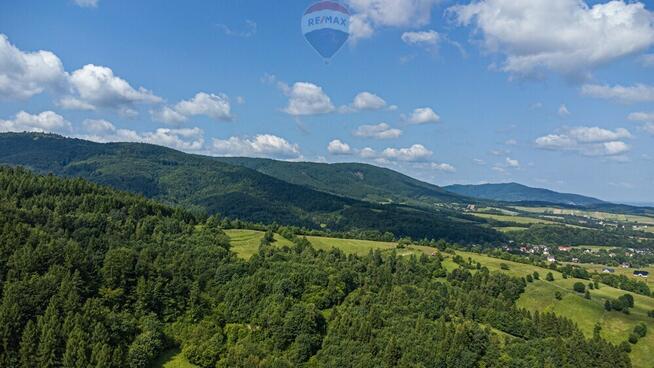 Działka leśna Rzyki