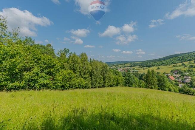 Działka leśna Rzyki