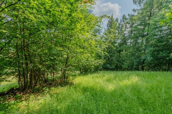 Działka leśna Rzyki