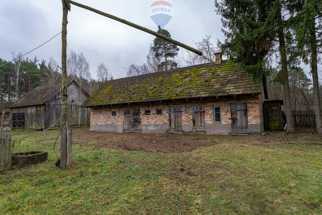 SIEDLISKO Z POTENCJAŁEM W SERCU NATURY