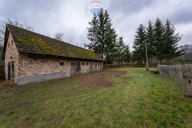 SIEDLISKO Z POTENCJAŁEM W SERCU NATURY