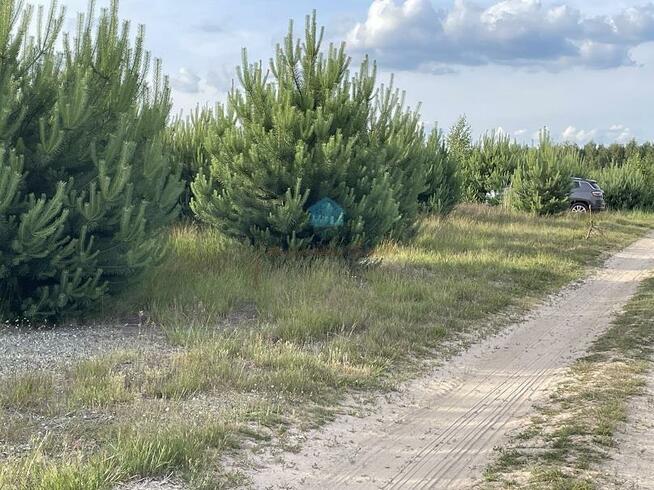 Działka budowlana Karczewko gm. Kiszkowo, Karczewko