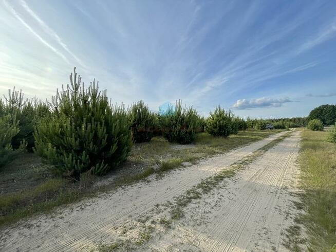 Działka budowlana Karczewko gm. Kiszkowo, Karczewko