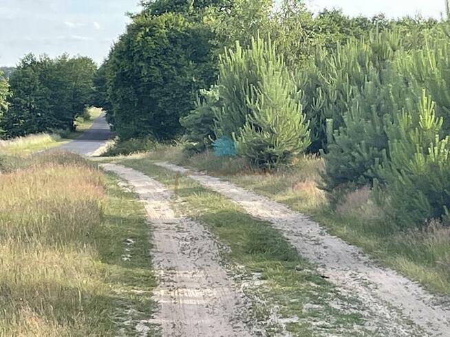 Działka budowlana Karczewko gm. Kiszkowo, Karczewko