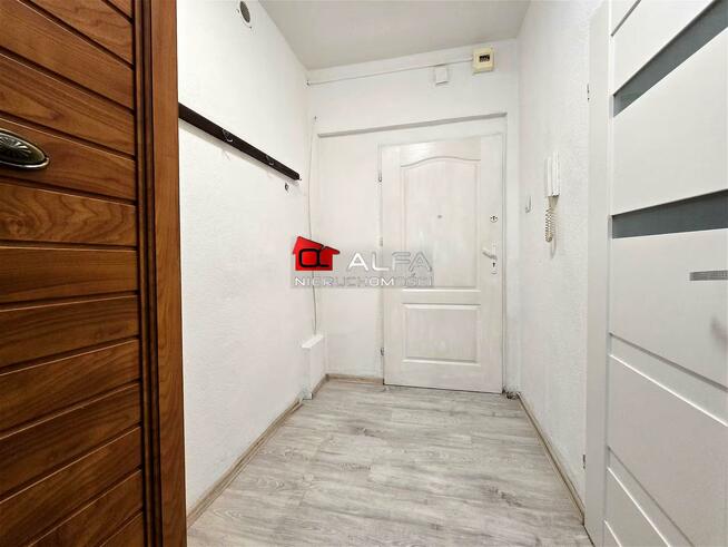 Mieszkanie Świdnica, Centrum