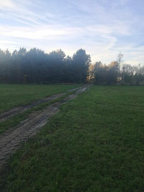 Działka budowlana z warunkami o pow. 1400m2, Dzierzbin