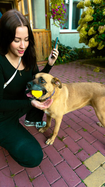 Aza - wesoła, łagodna, rodzinna sunia!