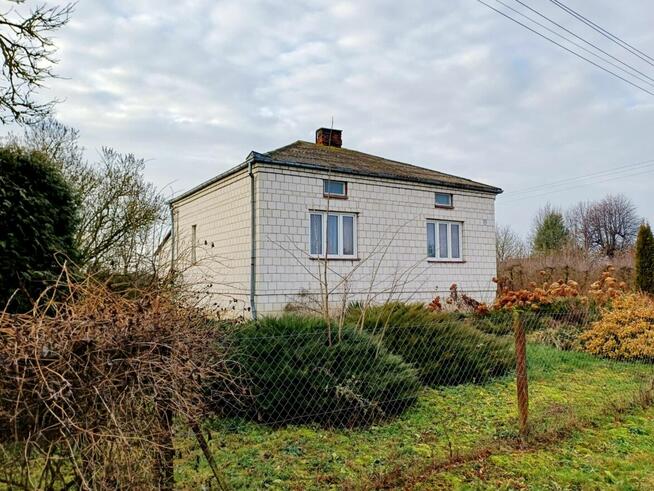 Siedlisko 4100 m2- Kępa Gostecka - na sprzedaż