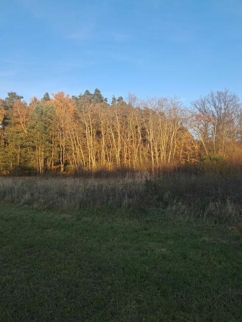 Działka budowlana z warunkami o pow. 1400m2, Dzierzbin
