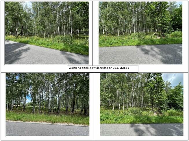 Działka, 57 862 m², Dąbrowica